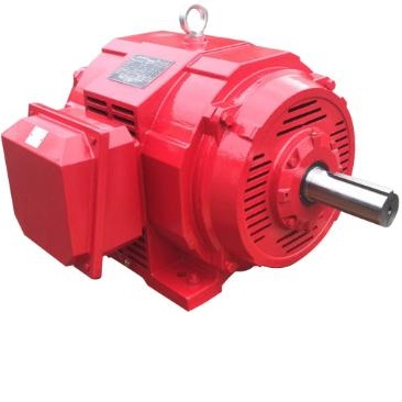 Cast Iron Housing ODP Motors